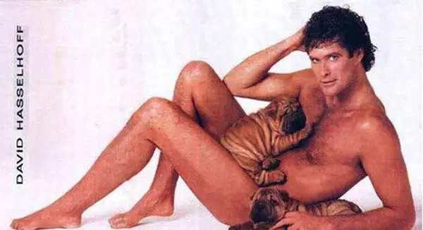 David Hasselhoff posing naked with puppies.