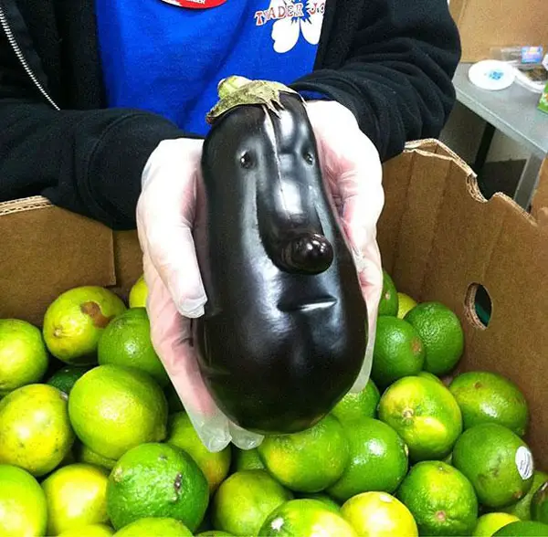 An eggplant that looks like a head. Things that look like other things.