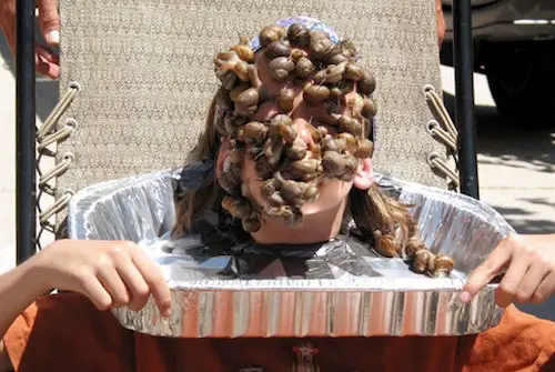 Crazy world records. Most snails on your face.