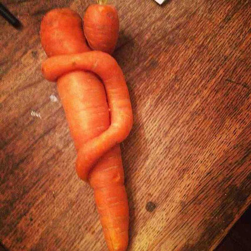 Two carrots hugging. Things that look like other things.
