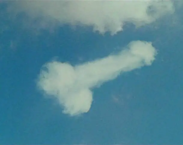 Rocket ship is in the Clouds That Look Like Things