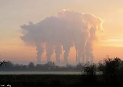 this pig is part of the Clouds That Look Like Things