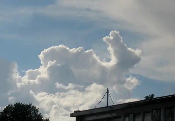 Clouds That Look Like Things