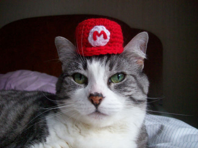 A cat wearing a Mario hat, lying on a bed.