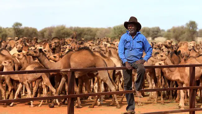 Here's another unusual fact about Australia.