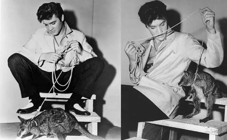 Elvis Presley owned a strange pet