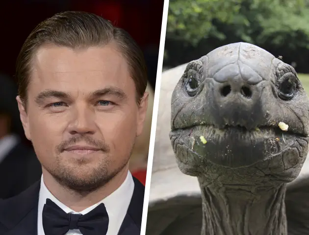 Leonardo DiCaprio owns a strange pet.