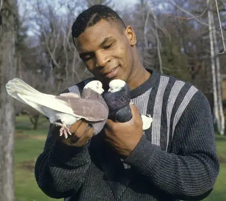 Mike Tyson owned unusual pets