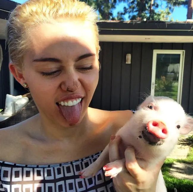 Miley Cyrus owns a strange pet