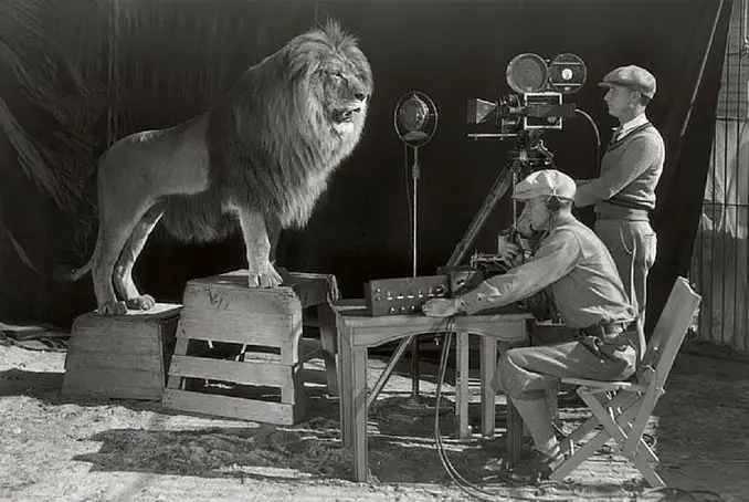 A photo of the MGM Lion - 10 Rare Photos From History