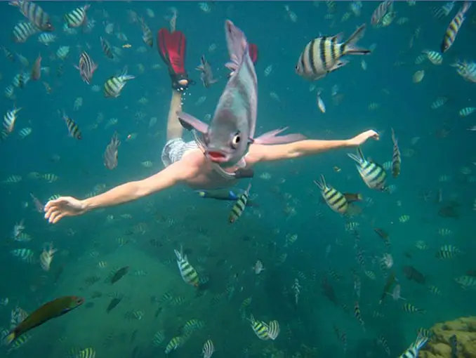 A photo of a man with a fish face - 10 Animal Photos Taken At Just The Right Time