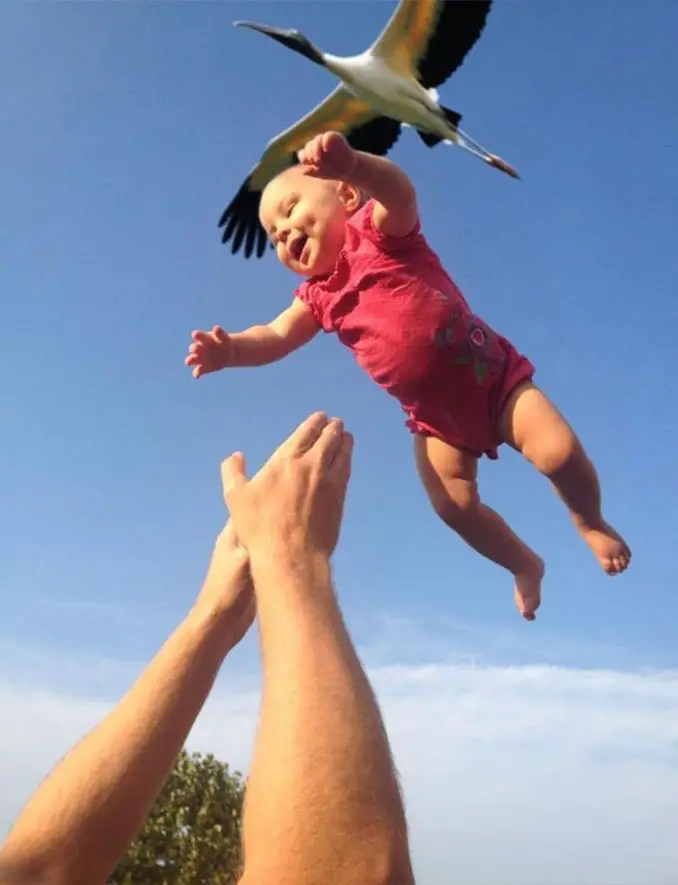 A photo of a stork delivering a baby - 10 Animal Photos Taken At Just The Right Time