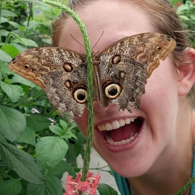 A photo of a woman with butterfly eyes - 10 Animal Photos Taken At Just The Right Time