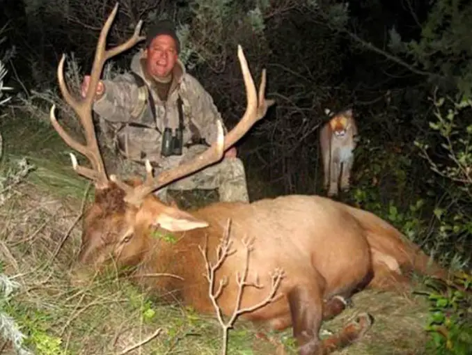 A hunter posing for a photo with a deer as a mountain lion sneaks up from behind - 10 Most Chilling Photobombs Ever Caught On Camera