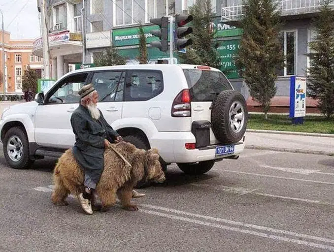 A man riding a bear - 20 WTF Photos You Just Have To See
