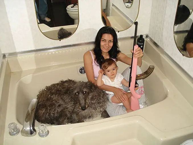 Family in a bathtub with a dog and a pink gun - 20 WTF Photos You Just Have To See
