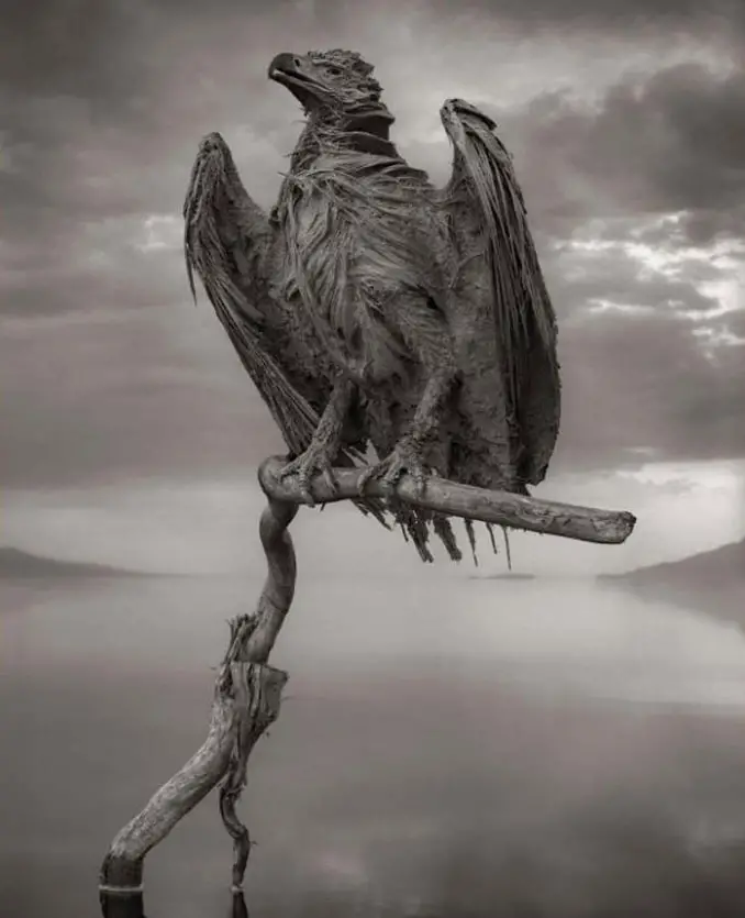 Lake Natron Frozen Fish Eagle - 10 Creepiest Statues Ever Created