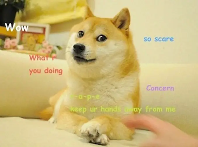 Doge meme - 10 REAL People Behind Popular Internet Memes
