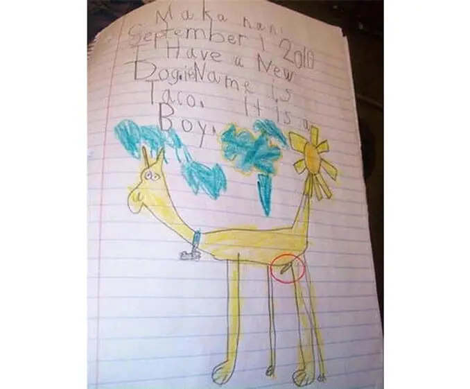 A child's drawing of their male dog named Taco - 22 Inappropriate Children's Drawings That Will Make You Laugh