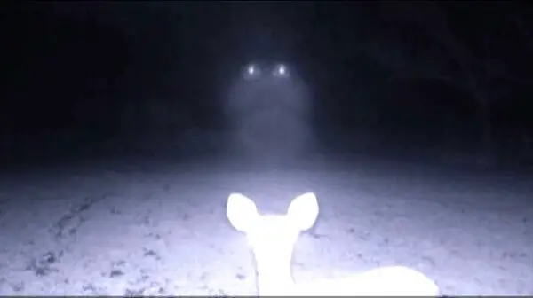 Creepy trail cam photos you have to see