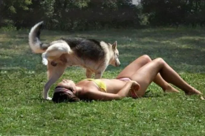 A dog urinating on a woman's face - 20 Funny Animal Photos You Have To See