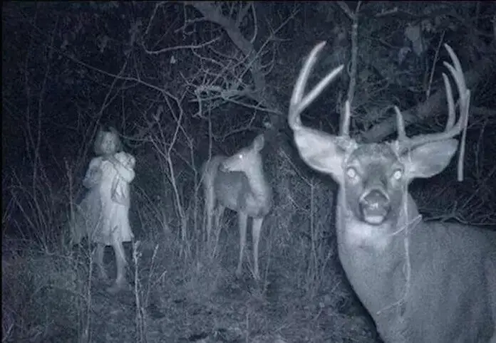 12 Creepy Trail Cam Photos You Have to See! - Page 2 of 2 - Slapped Ham