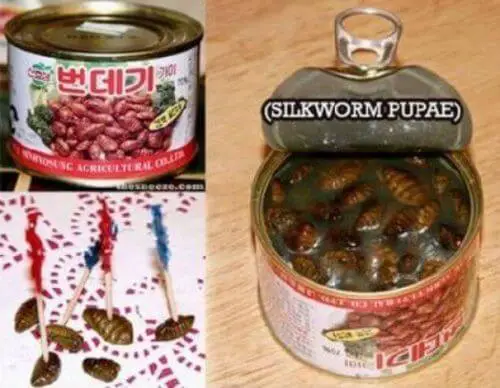 Weird Canned food