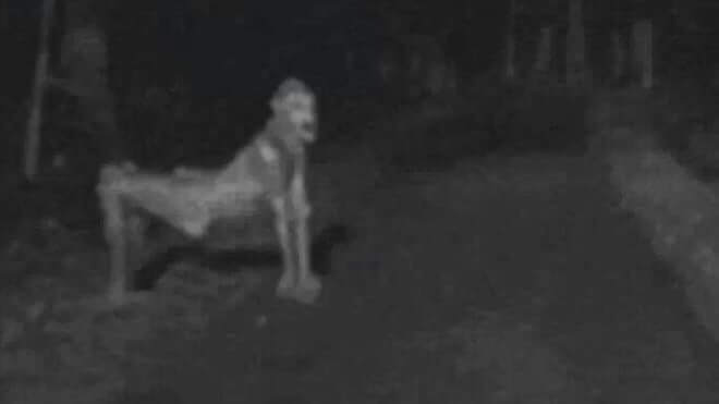 Creepy Trail cam photos