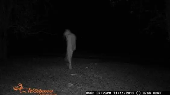 Creepy Trail Cam pictures