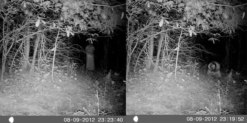 Creepy trail cam photos