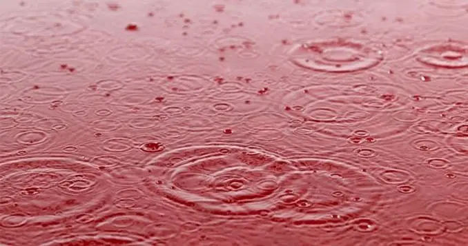 The Kerala red rain phenomenon - 20 Shocking Weather Facts You Probably Don't Know