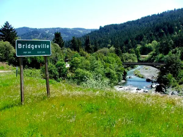 Bridgeville California is one of the most expensive eBay listings of all time.