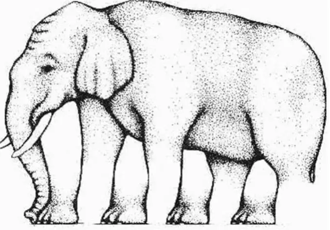 Elephant legs optical illusion.