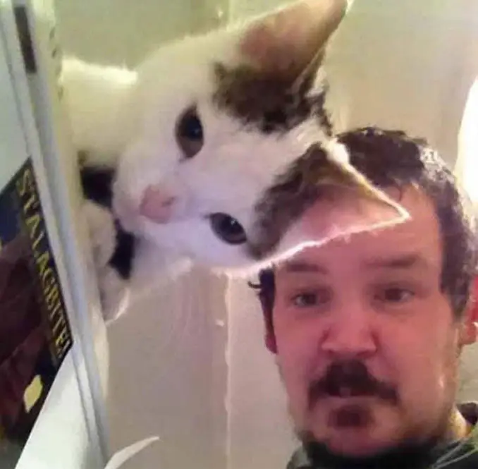 A photo of a cat that looks like its ear is part of the man's head.