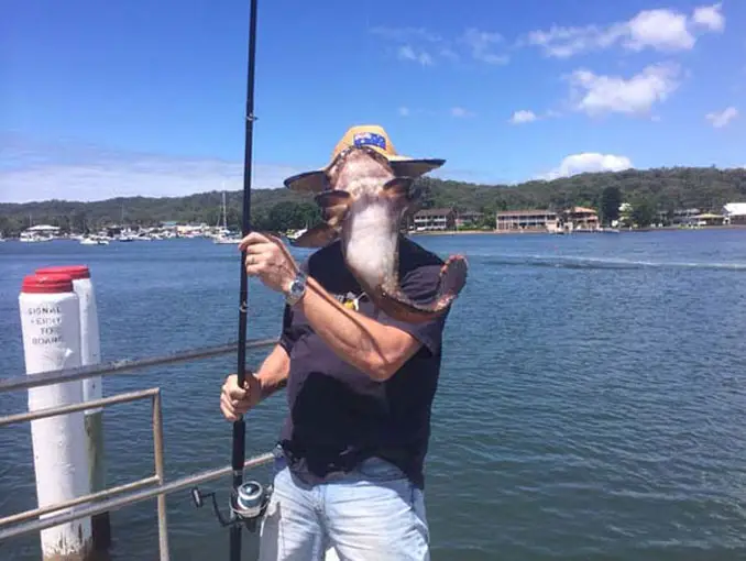 A photo of a fish on a rod in front of a man's head.