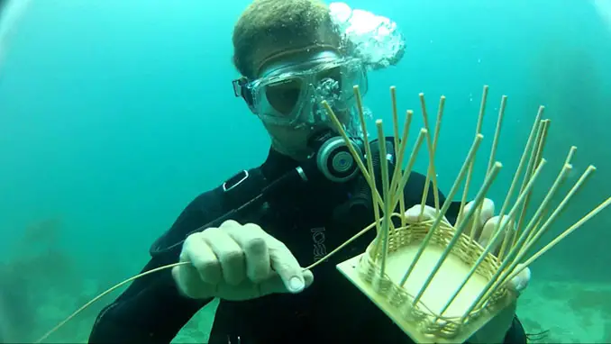 Reed College in Oregon offers a class in Underwater Basketweaving - 10 Strangest University Courses You Can Actually Take