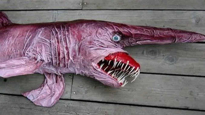 The goblin shark is a really weird sea animal