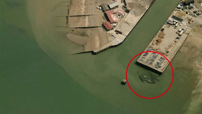 A giant crab seen on Google Earth.