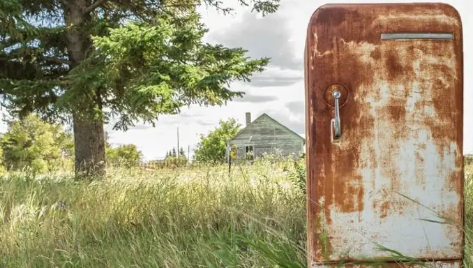 Nima Louise Carter was discovered in an old refrigerator.