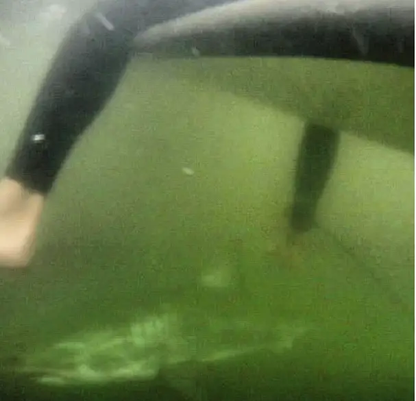 This scary moment caught on GoPro was captured by a surfer.