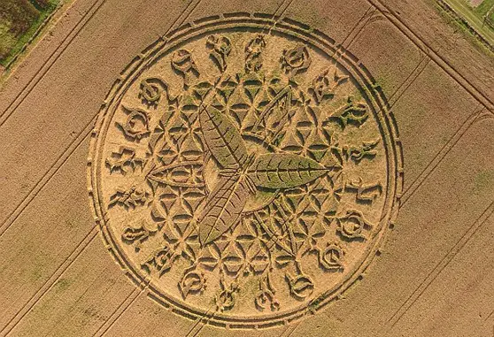 This crop circle appeared overnight without any trace of construction.