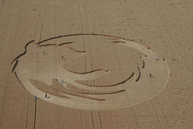 Firefox crop circle created by Mozilla interns.