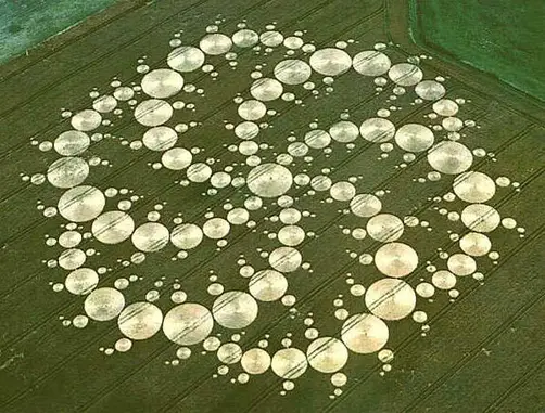 One of the largest crop circles ever discovered.