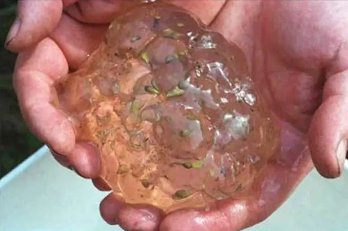 Gooey blobs fall from the sky over Washington - 10 Strangest Things Ever Seen in The Sky