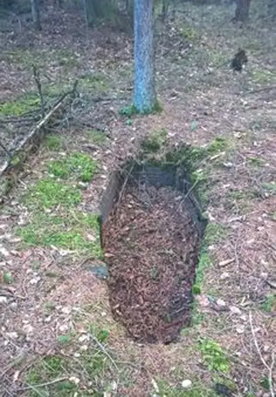 Empty grave discovered in the woods - 10 Strangest Things Ever Found in the Woods