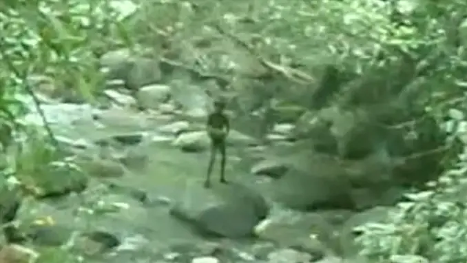 Alien standing on a rock in a river in the forest - 10 Strangest Things Ever Found in the Woods