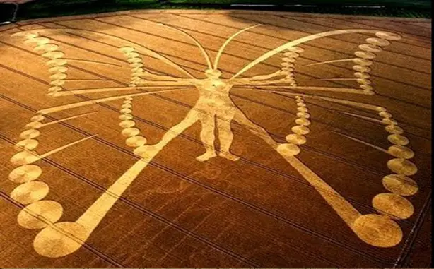 These crop circles have officials baffled. 