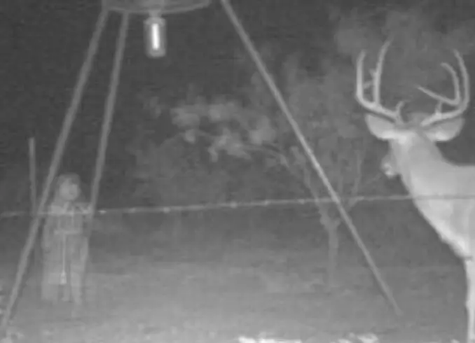 Creepy girl caught on trail camera - 10 Trail Camera Photos That Cannot Be Explained