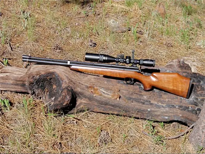A hunting rifle and a cell phone was discovered on this property making it one of the strangest things found in backyards