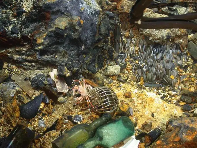 The SS Republic is one of the Most Valuable Shipwrecks Ever Found